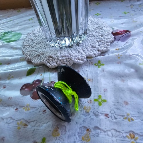 Iyoyo veritas pro - veritas,