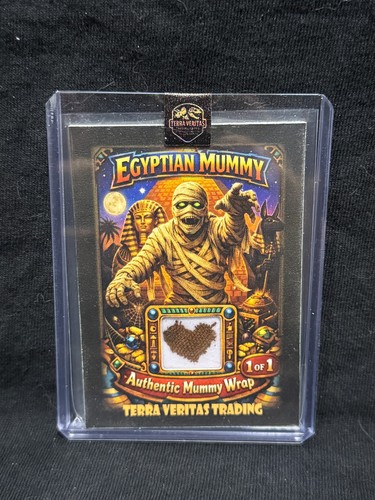 Egyptian mummy 2026 terra - egyptian,